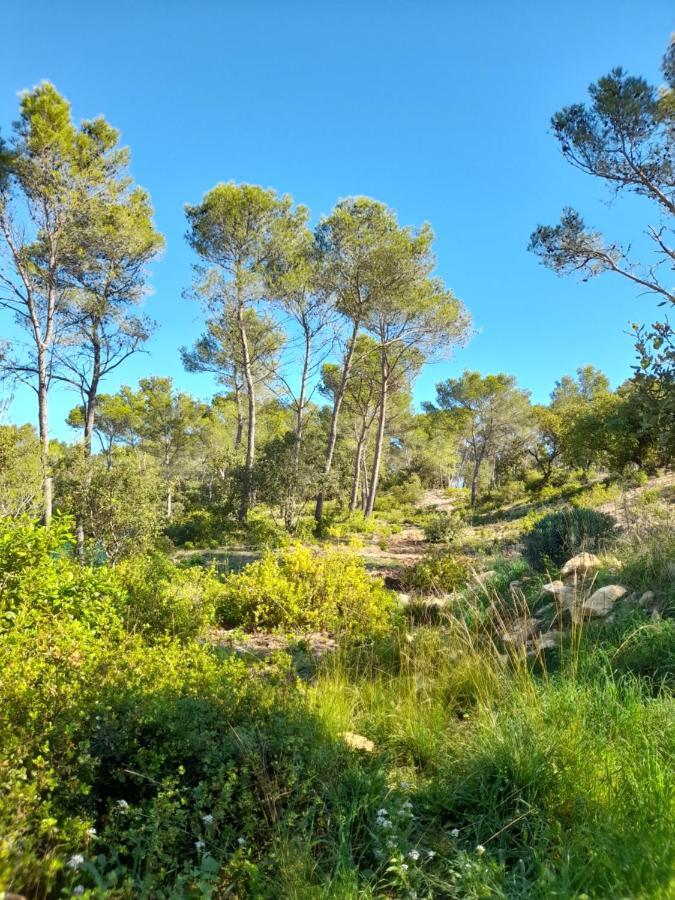 Studio Du Roc Des Garrigues Langlade Luaran gambar